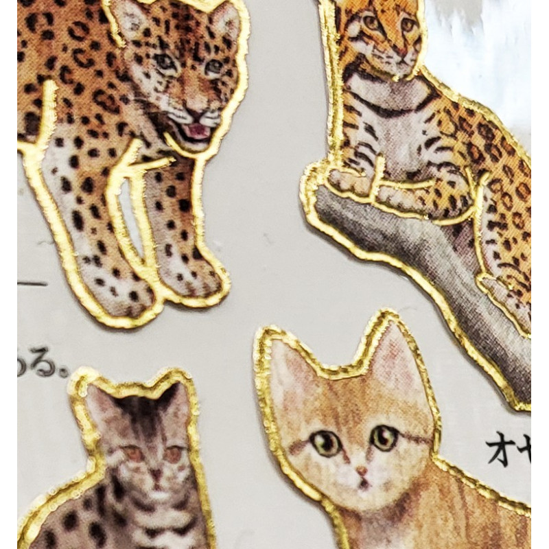 Felidae (cats)' Otonano-Zukan Paper stickers