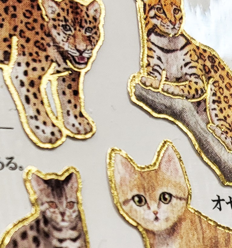 Felidae (cats)' Otonano-Zukan Paper stickers