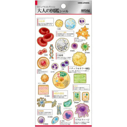 'Cells' Otonano-Zukan Paper stickers