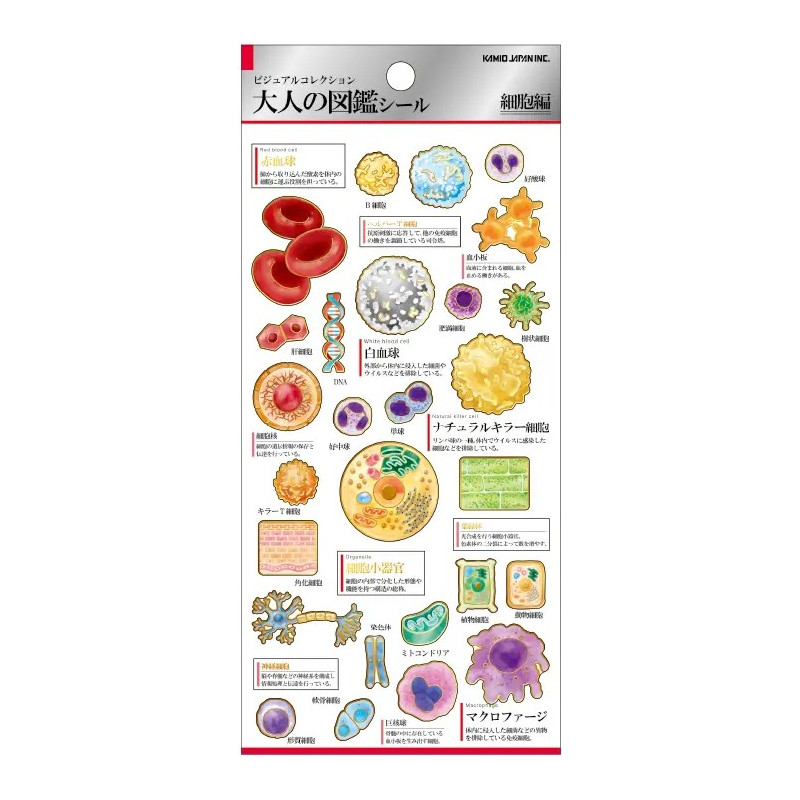 'Cells' Otonano-Zukan Paper stickers