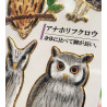 'Owls' Otonano-Zukan Paper stickers