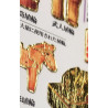 'the Jōmon to Kofun period' Otonano-Zukan Paper stickers