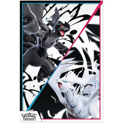 [restocking 28.10.][German edition] Schwarze Blitze & Weiße Flammen Poster Kollektion - Pokémon Cards Karmesin & Purpur