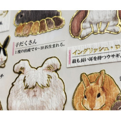« Lapins » Otonano-Zukan autocollants en papier