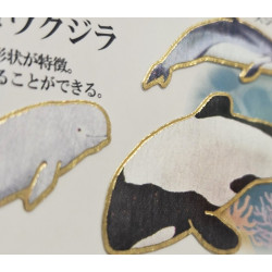 « Dauphins et baleines » Otonano-Zukan autocollants en papier