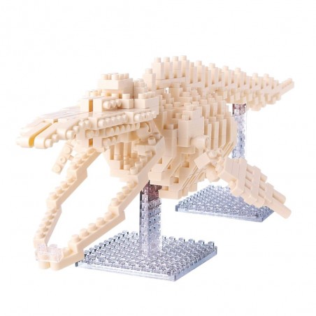 Squelette de Rorqual Bleu NANOBLOCK | Middle Series