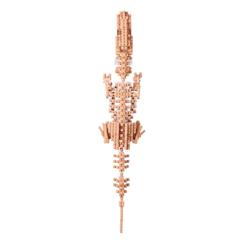 その他 T-rex V1 fit=scale-down,w=1200