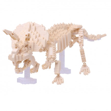 Squelette de Triceratops NBM-017 NANOBLOCK | Middle Series