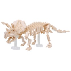 Squelette de Triceratops NBM-017 NANOBLOCK | Middle Series