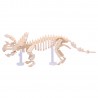 Triceratops skeleton NBM-017 NANOBLOCK | Middle Series