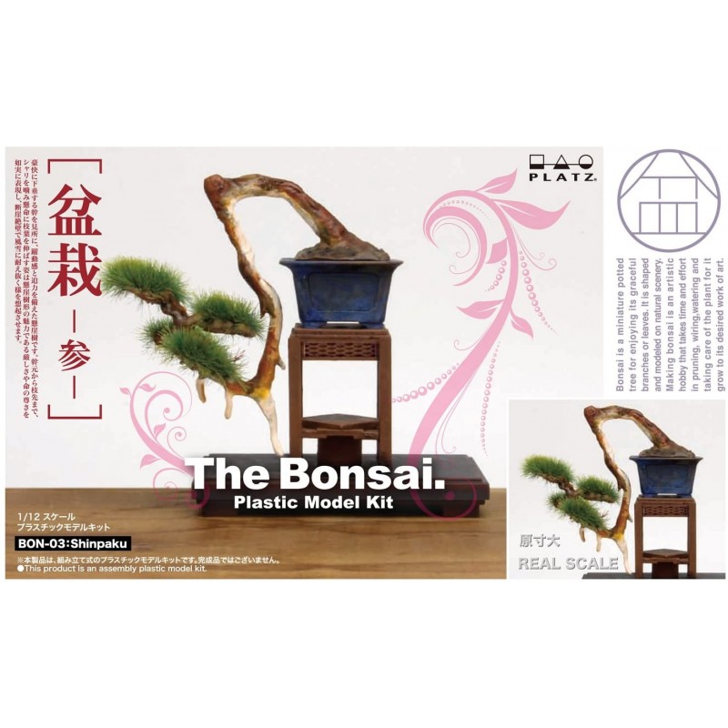 PRODUIT // Le kit « bonsaï » – Japan Magazine