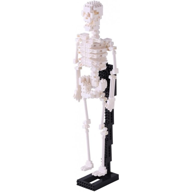 Human skeleton NBM-014 NANOBLOCK the Japanese mini construction block | Middle Series