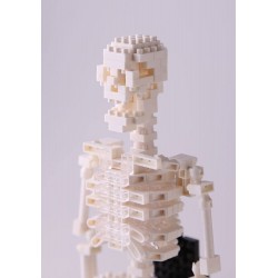 Human skeleton NBM-014 NANOBLOCK the Japanese mini construction block | Middle Series