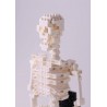 Human skeleton NBM-014 NANOBLOCK the Japanese mini construction block | Middle Series