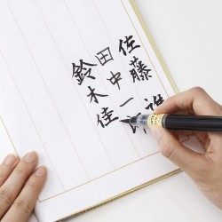 Stylo pinceau: pointe moyenne pour papier japonais washi, encre à colorant, rechargeable | XFL2W par Pentel