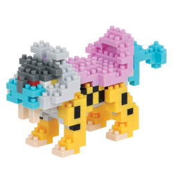 Raikou NBPM-089 NANOBLOCK meets Pokemon